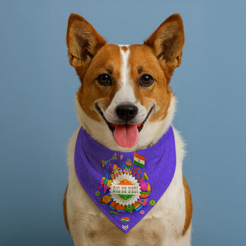 The Desi Spirit Bandana