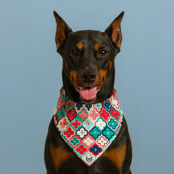 The Morocco Bandana