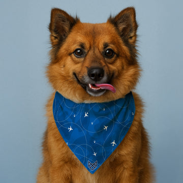 The Sky Chaser Bandana