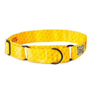 The Honey Hex Martingale Dog Collar With QuickLink