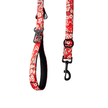The Dragon Blossom Multifunctional Leash