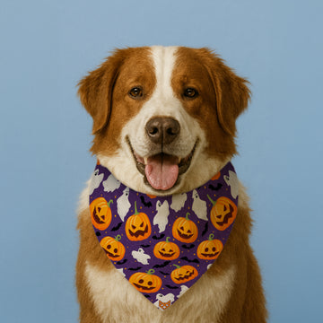 The Halloween Boo Bandana