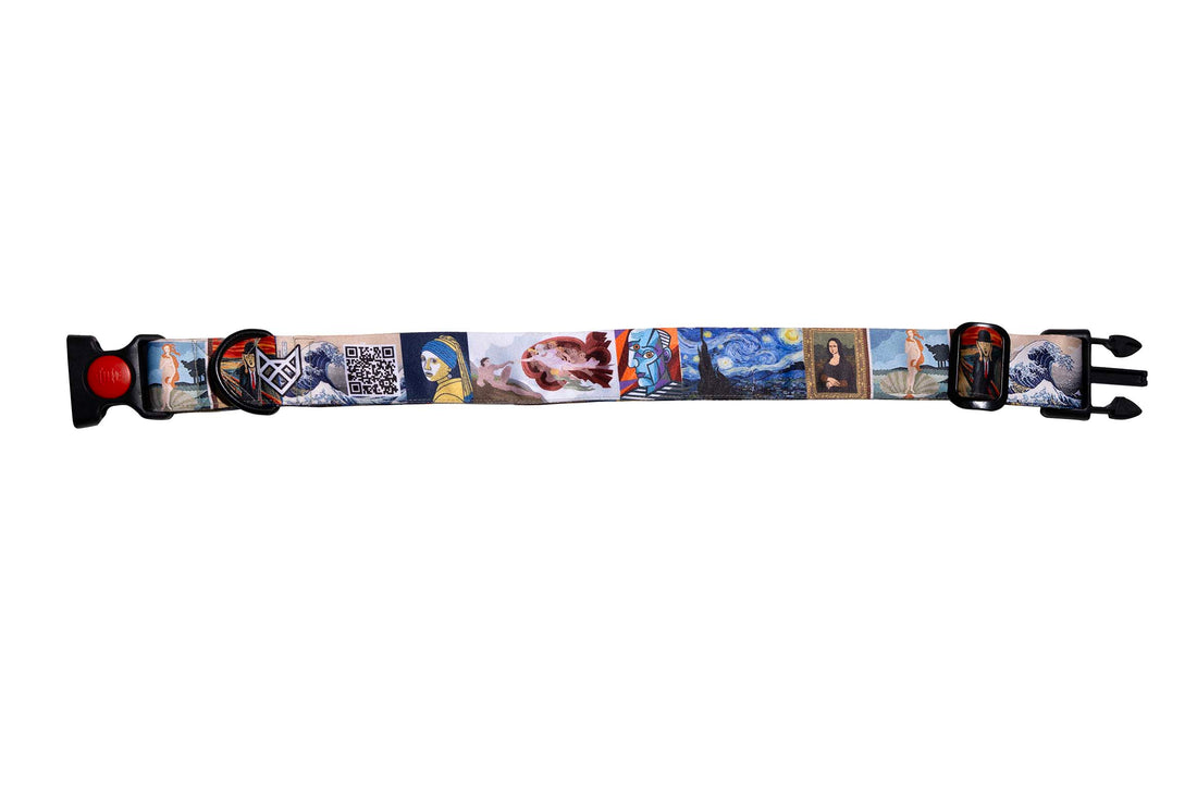 The Artistic Legacy Buckle Dog Collar With QuickLink