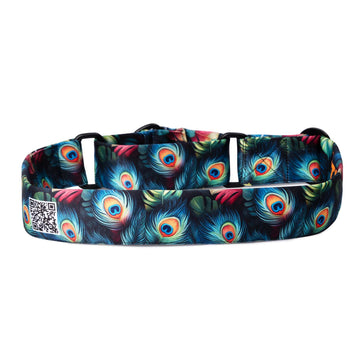 The Peacocks Glory Martingale Dog Collar With QuickLink