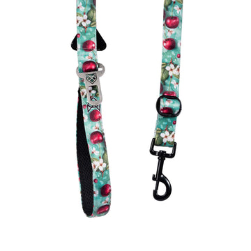 The Cherry Breeze Multifunctional Leash