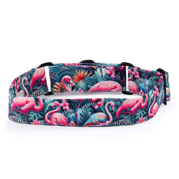 The Flamingo Oasis Martingale Dog Collar With QuickLink