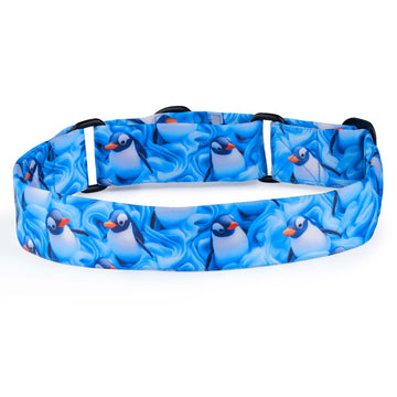 The Penguin Drift Martingale Dog Collar With QuickLink