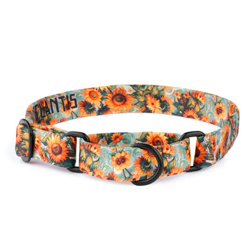 The Sunflower Swirl Martingale Dog Collar With QuickLink