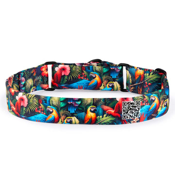 The Tropical Parade Martingale Dog Collar With QuickLink