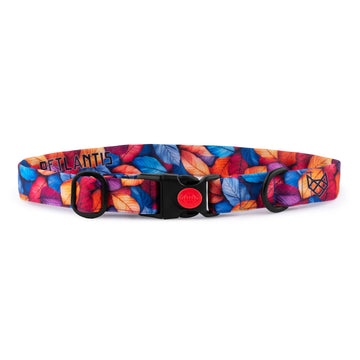 The Autumn Harmony Buckle Dog Collar With QuickLink