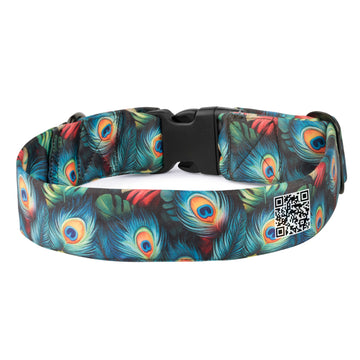 The Peacocks Glory Buckle Dog Collar With QuickLink