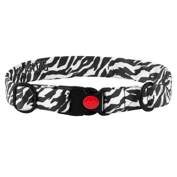 The Zebra Path Buckle Dog Collar With QuickLink