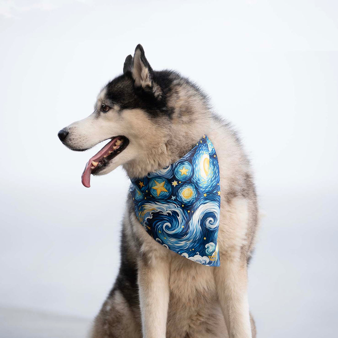 The Starry Nights Bandana