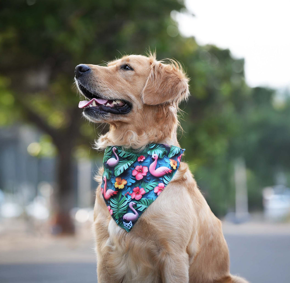 The Summer Escape Bandana