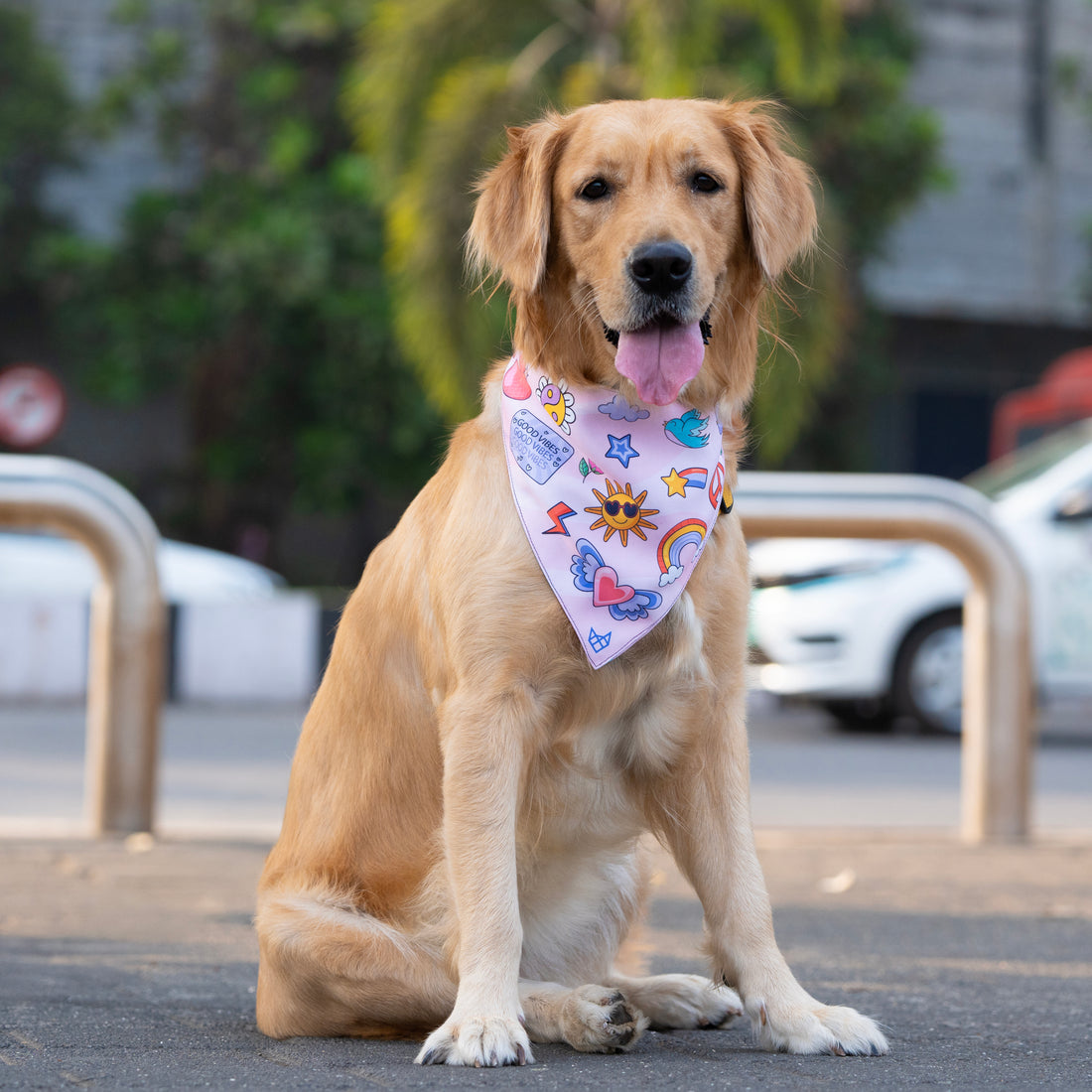 The Sunshine Spirit Bandana