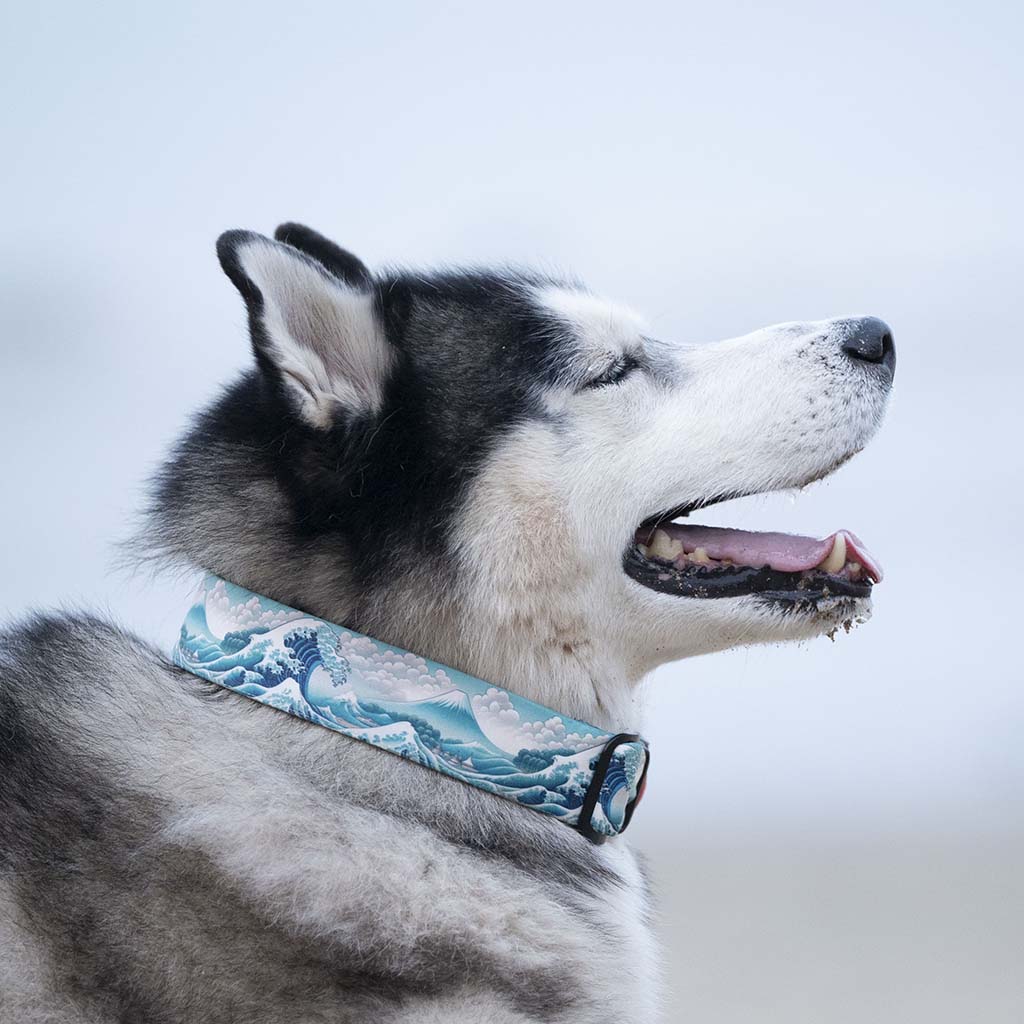 The Wave of Kangawa Buckle Dog Collar With QuickLink