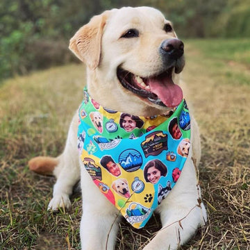 Custom Cat & Dog Bandana