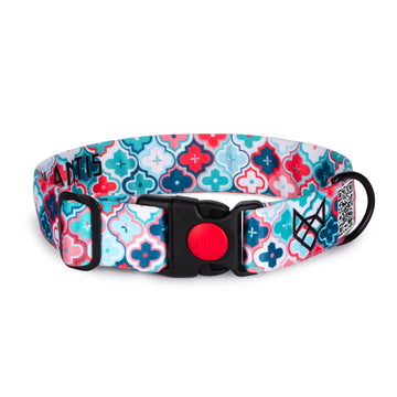 The Morocco Buckle Dog Collar With QuickLink
