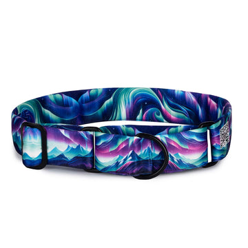 The Northern Lights Martingale Dog Collar With QuickLink