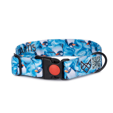 The Penguin Drift Buckle Dog Collar With QuickLink