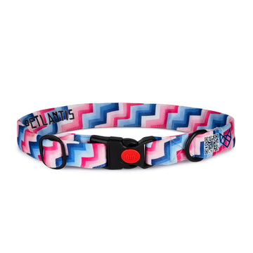 The Groove Buckle Dog Collar With QuickLink