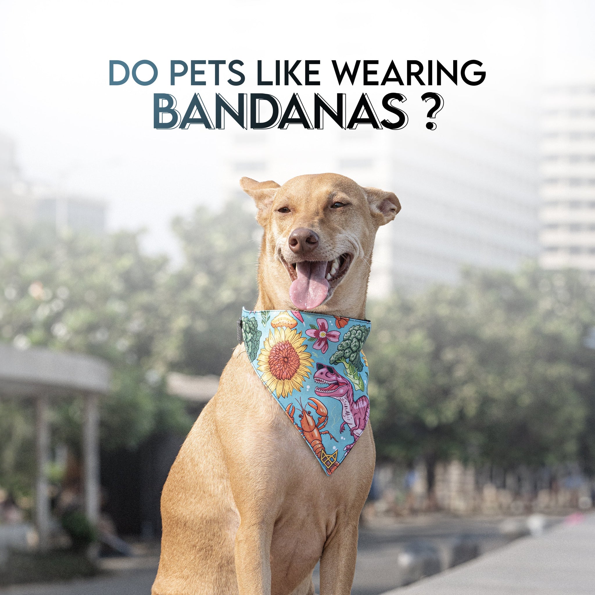 Do Pets Like Wearing Bandanas? Here’s What You Should Know
