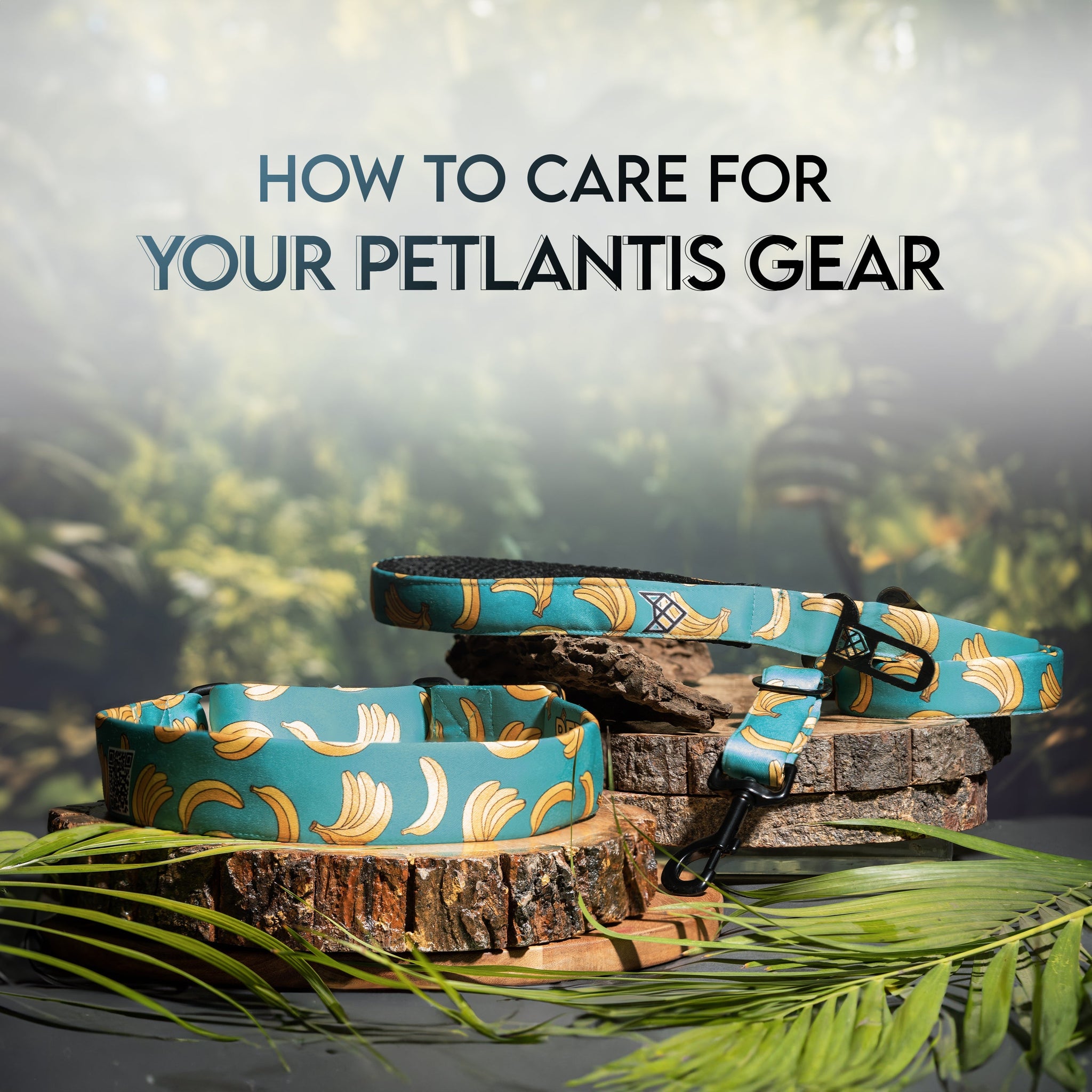 How to Care for Your Petlantis Gear
