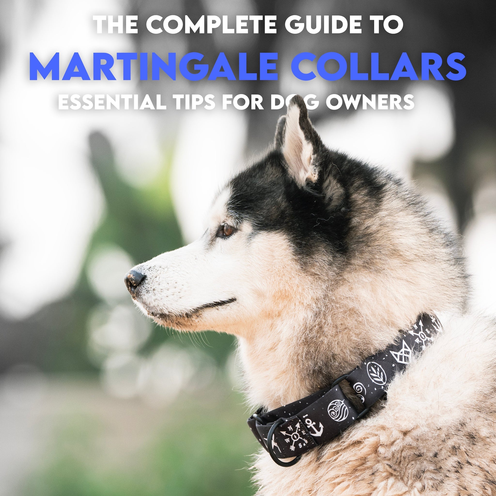 Martingale Collars Explained