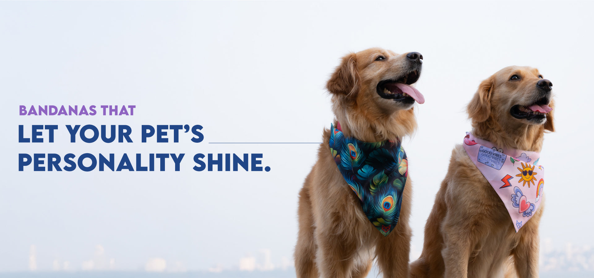 slider image slider_item_rTXdia