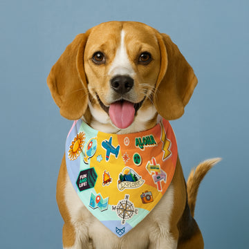 The Journey Begins Bandana