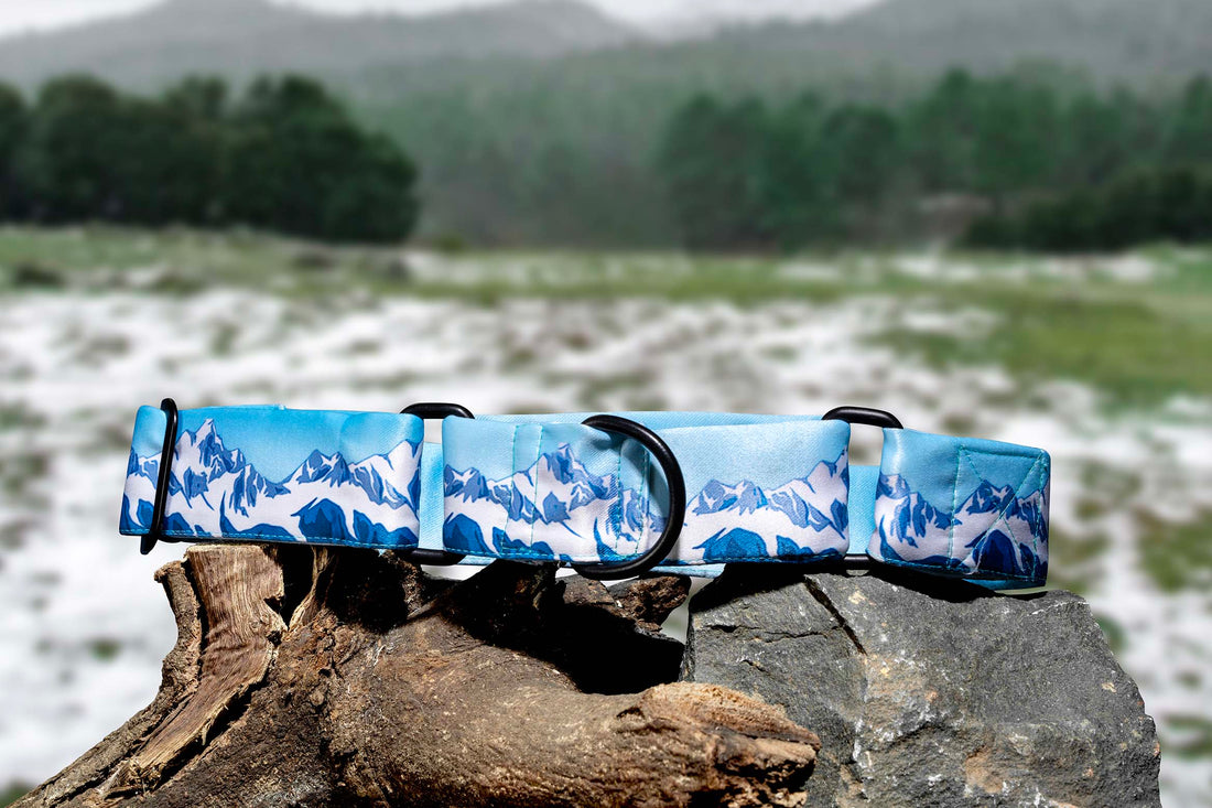 The Himalaya Spirit Martingale Dog Collar With QuickLink