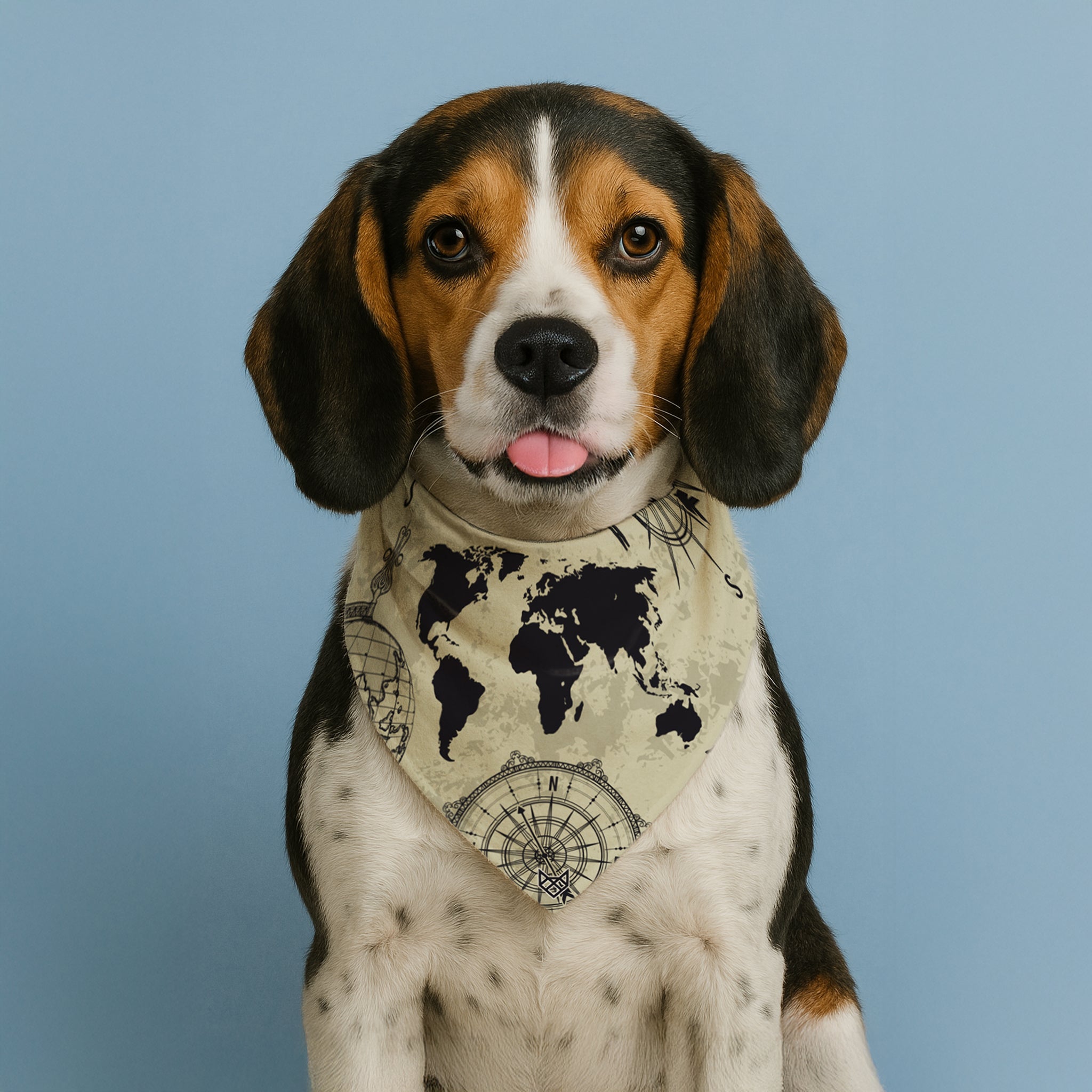 The Globe Trotter Bandana