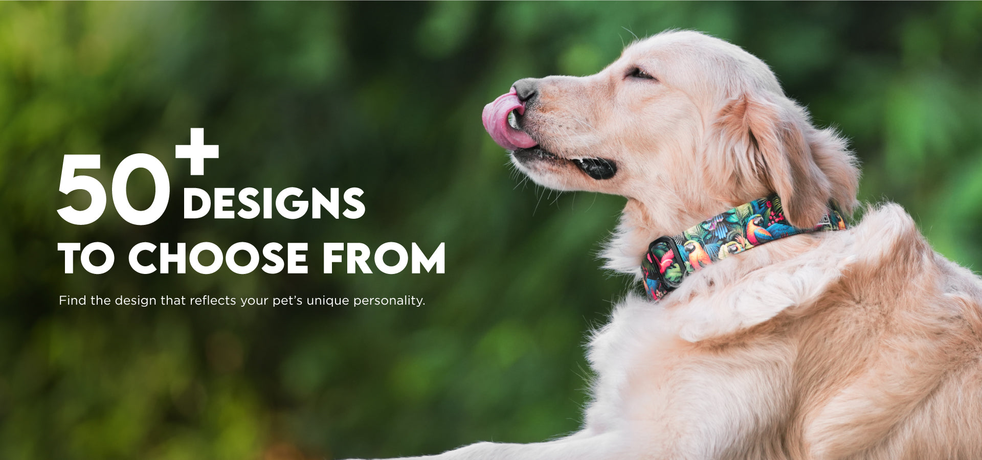 slider image slider_item_PaPYxH