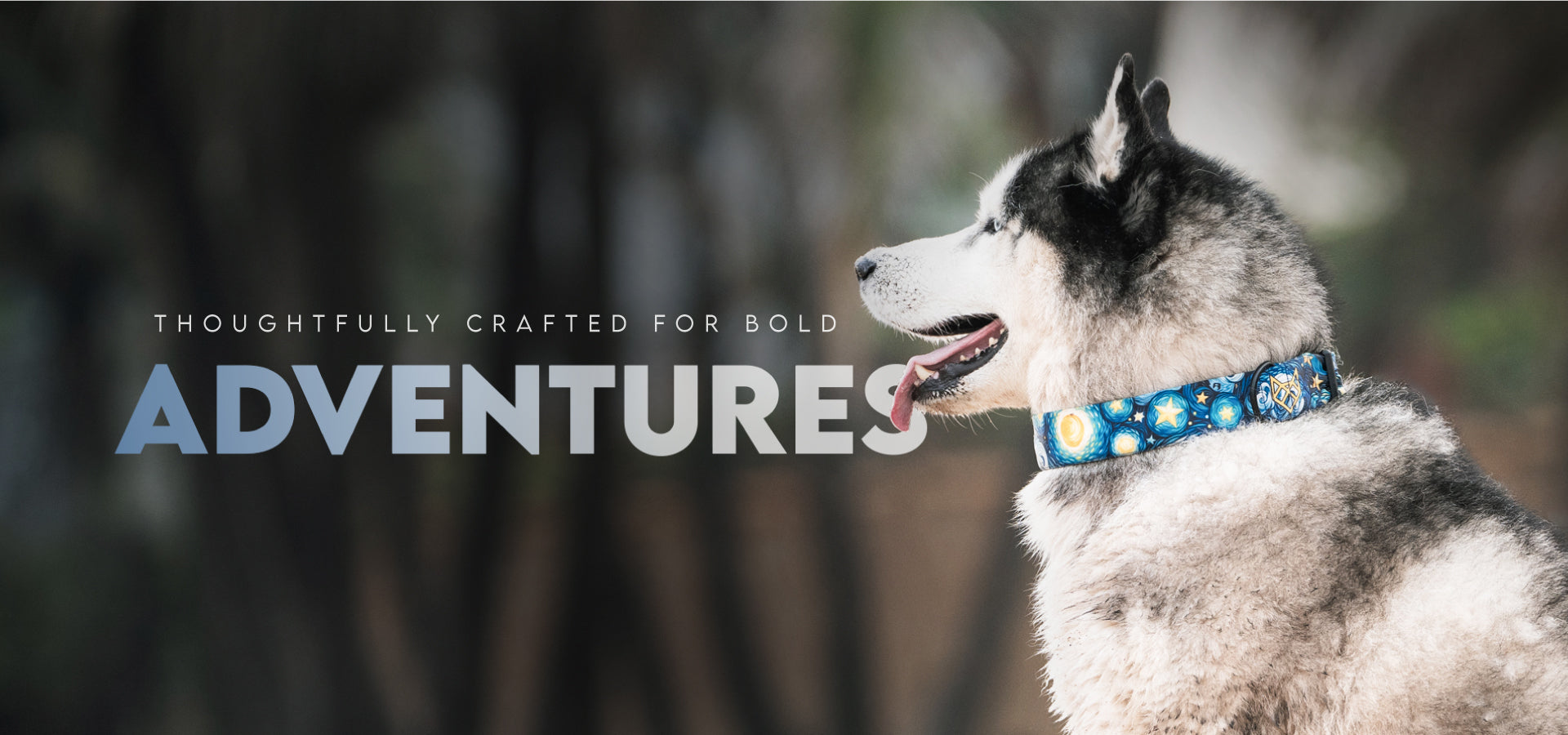 slider image slider_item_rTXdia