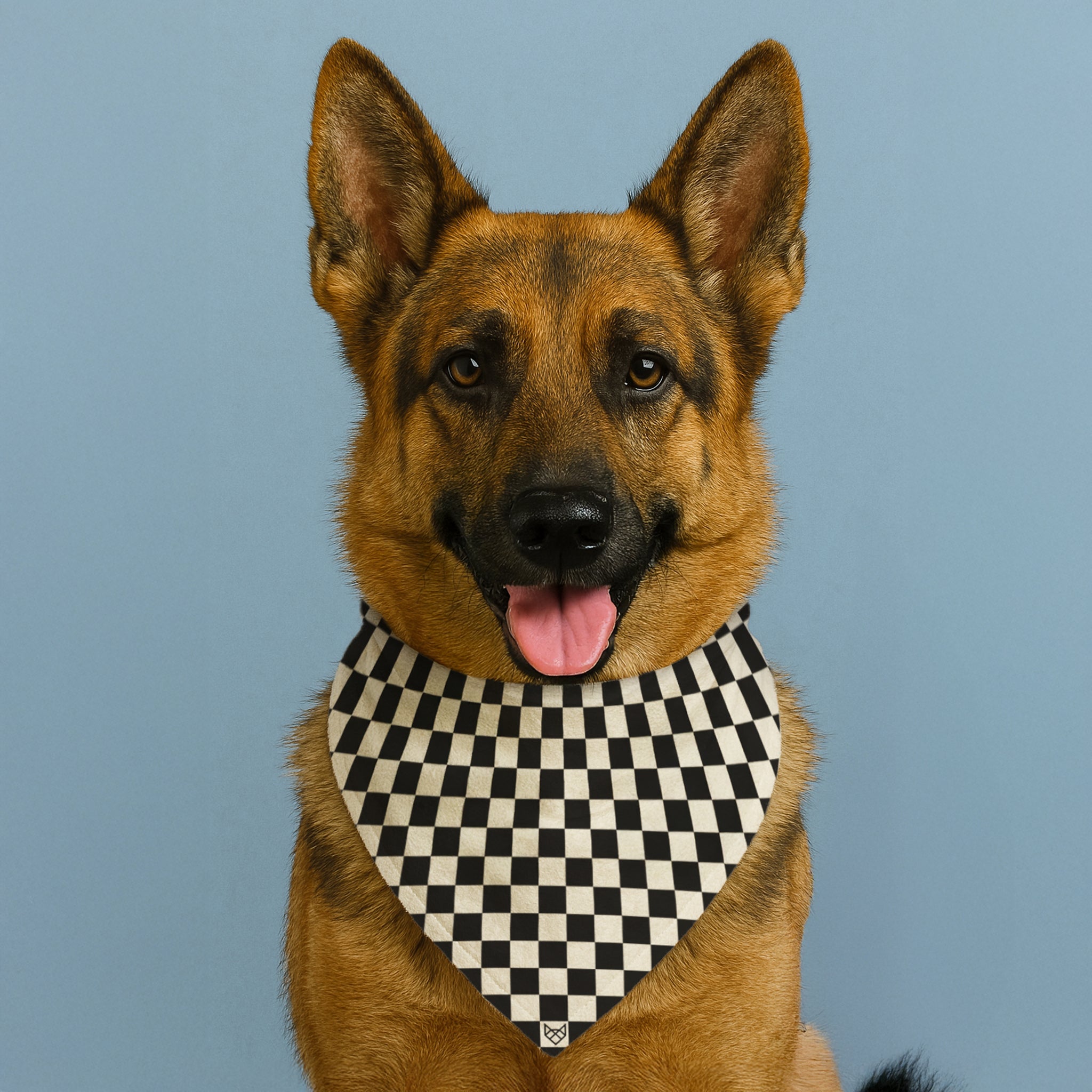 The Checkered Path Bandana