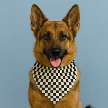 The Checkered Path Bandana