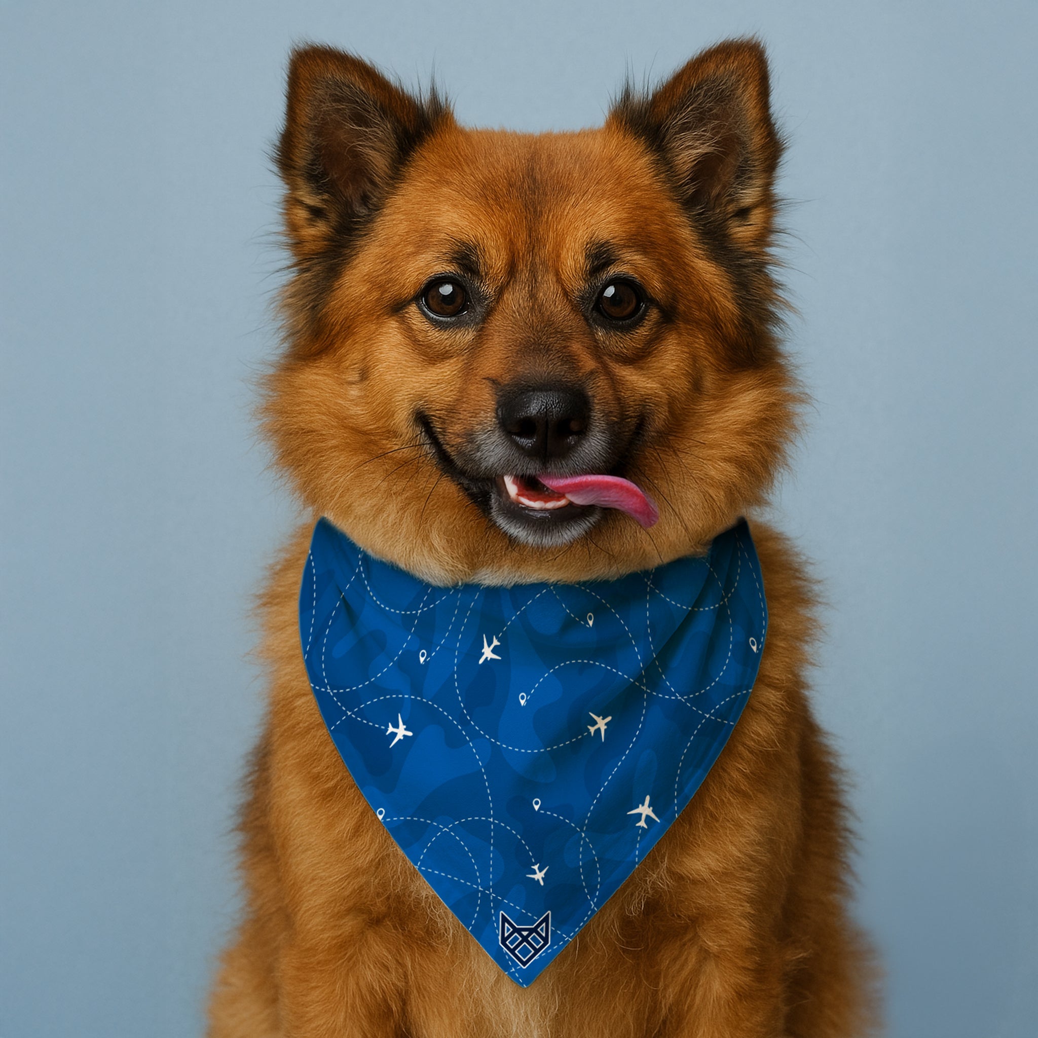 The Sky Chaser Bandana