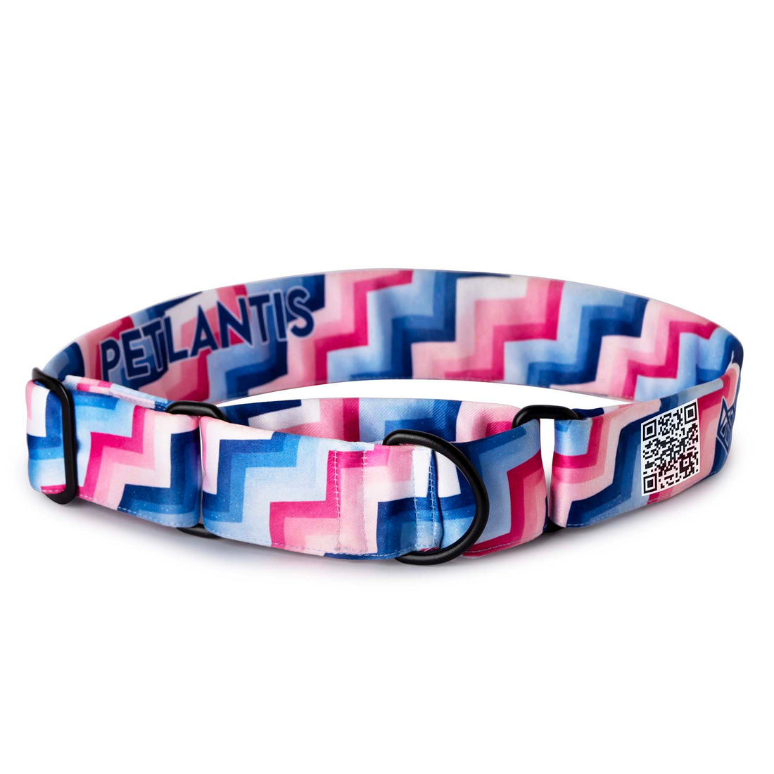 The Groove Martingale Dog Collar With QuickLink
