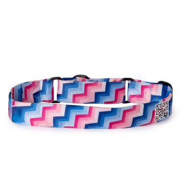The Groove Martingale Dog Collar With QuickLink