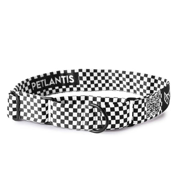 The Checkered Path Martingale Dog Collar With QuickLink