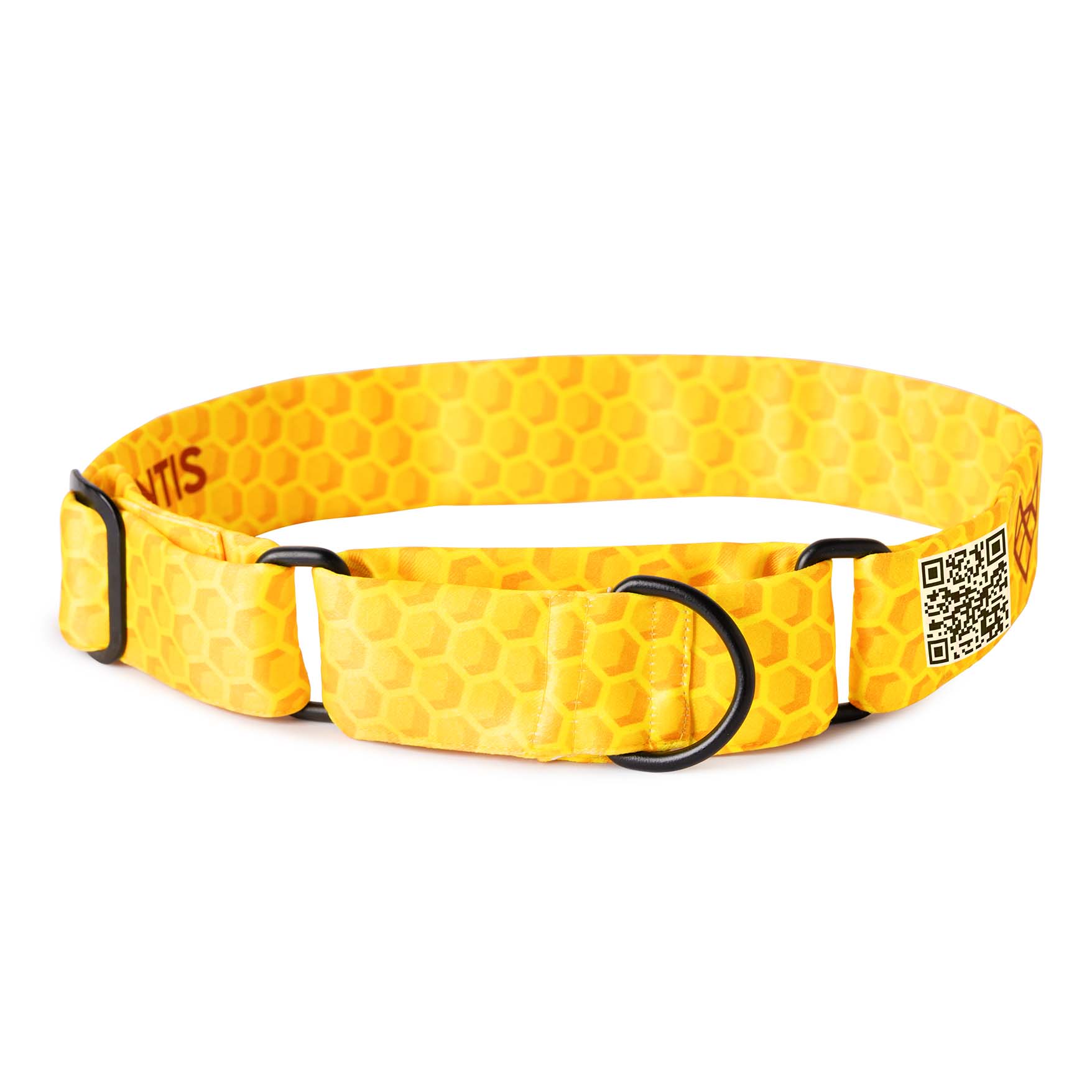 The Honey Hex Martingale Dog Collar With QuickLink