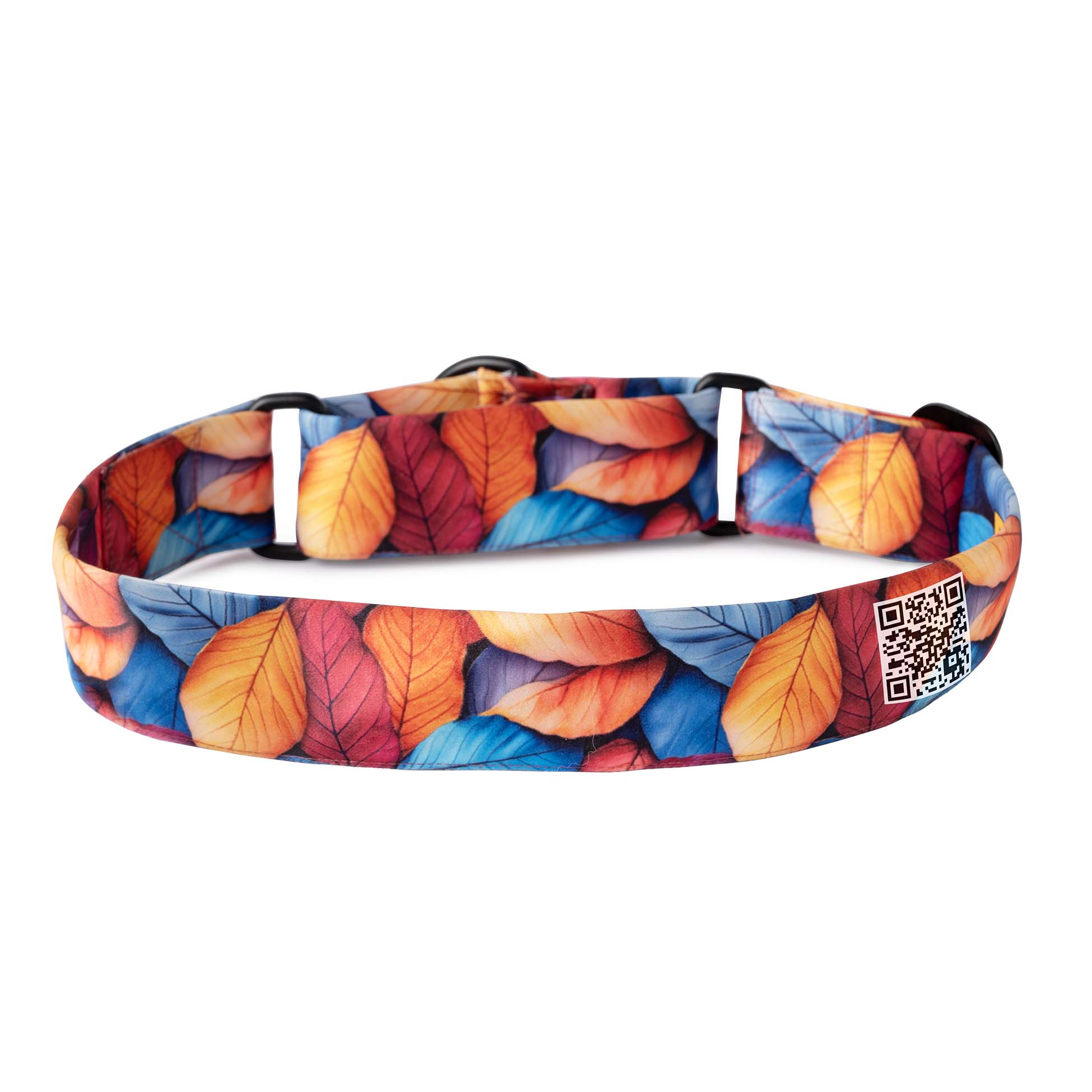 The Autumn Harmony Martingale Dog Collar With QuickLink