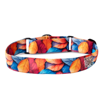 The Autumn Harmony Martingale Dog Collar With QuickLink
