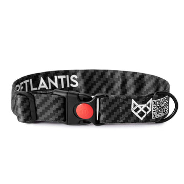 The Carbon Fiber Buckle Dog Collar With QuickLink