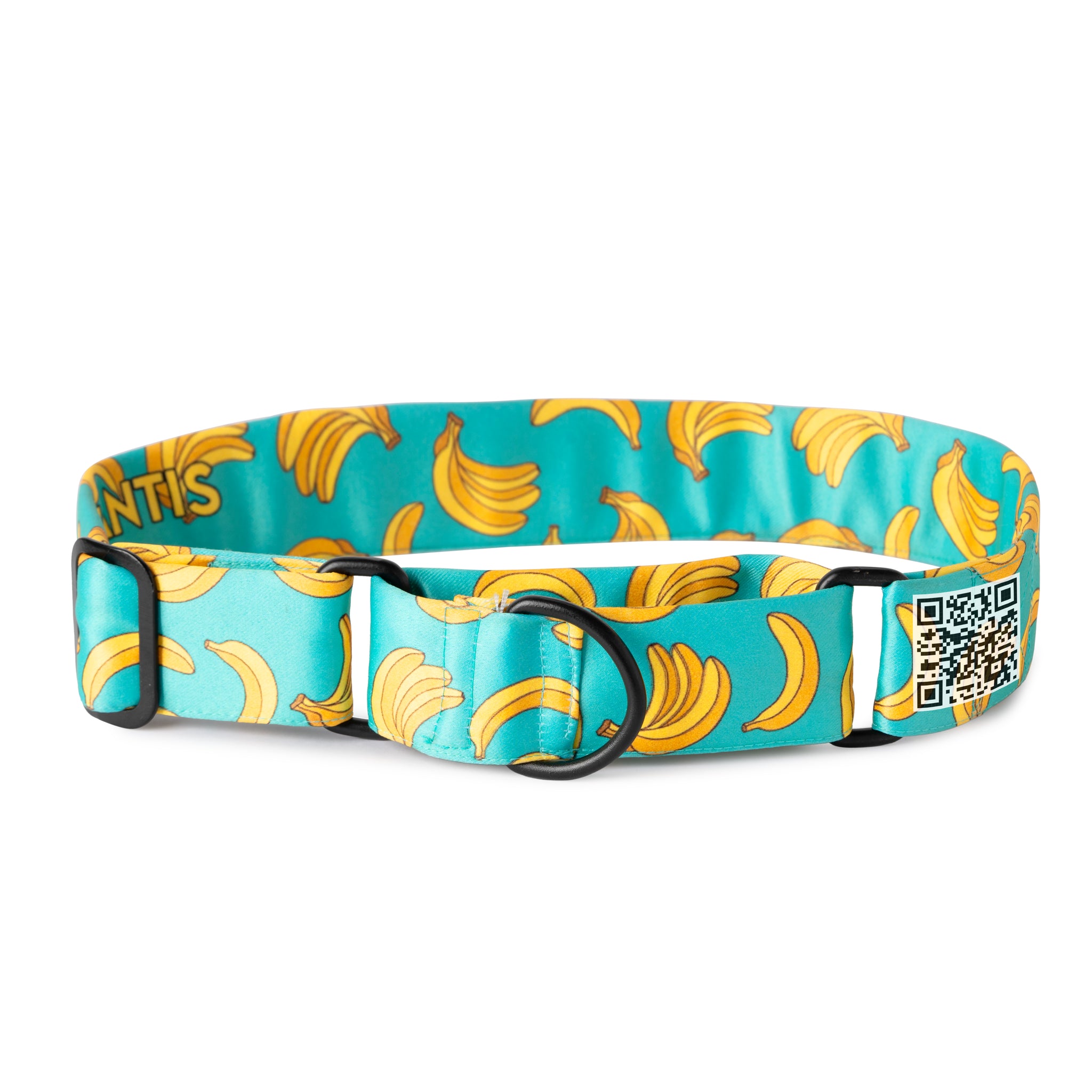 The Banana Twist Martingale Dog Collar With QuickLink