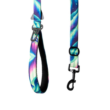 The Northern Lights Multifunctional Leash