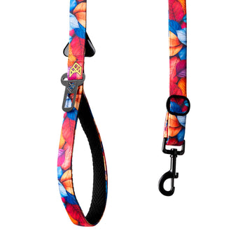 The Autumn Harmony Multifunctional Leash