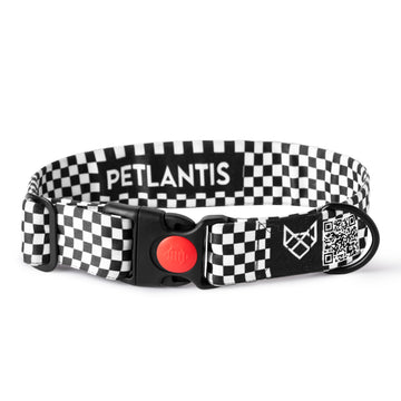 The Checkered Path Buckle Dog Collar With QuickLink
