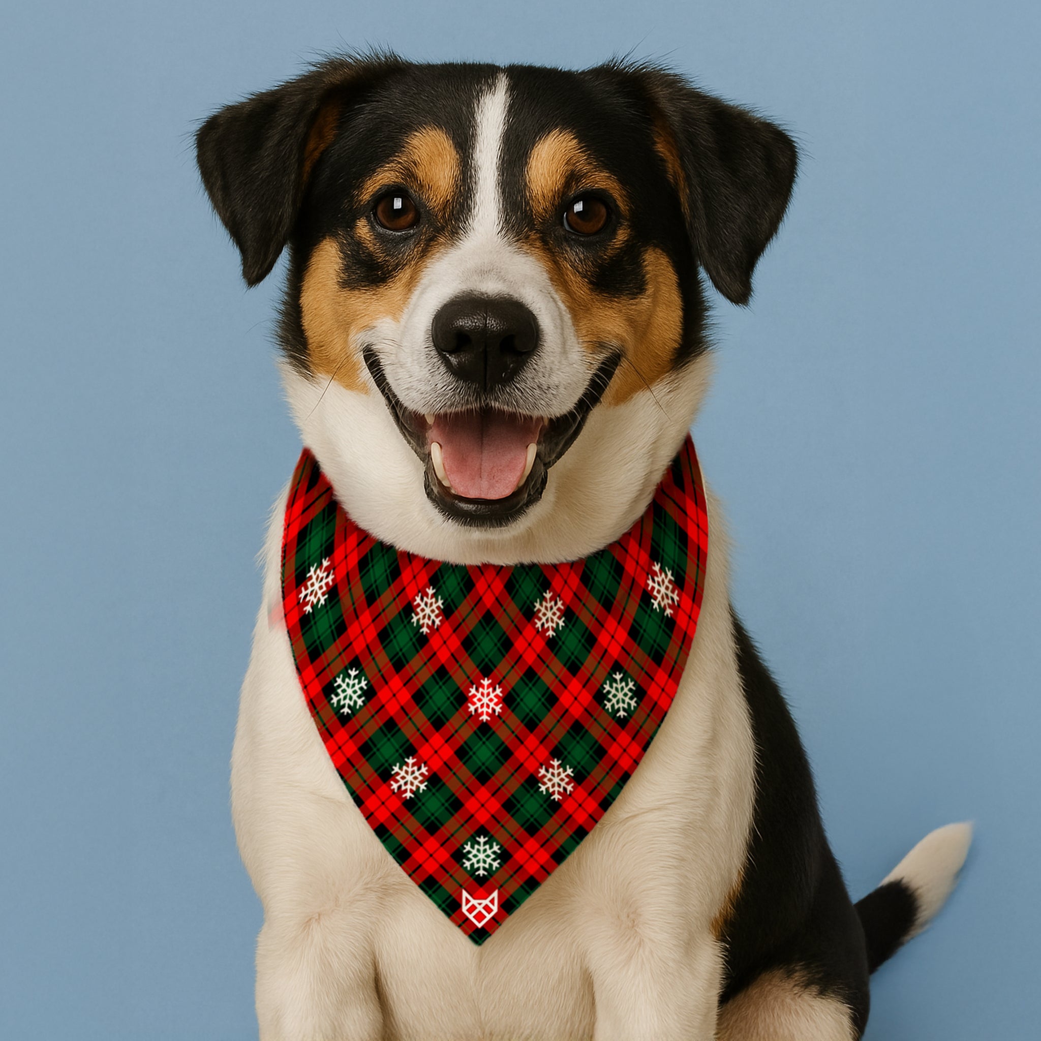 The Winter Bliss Bandana