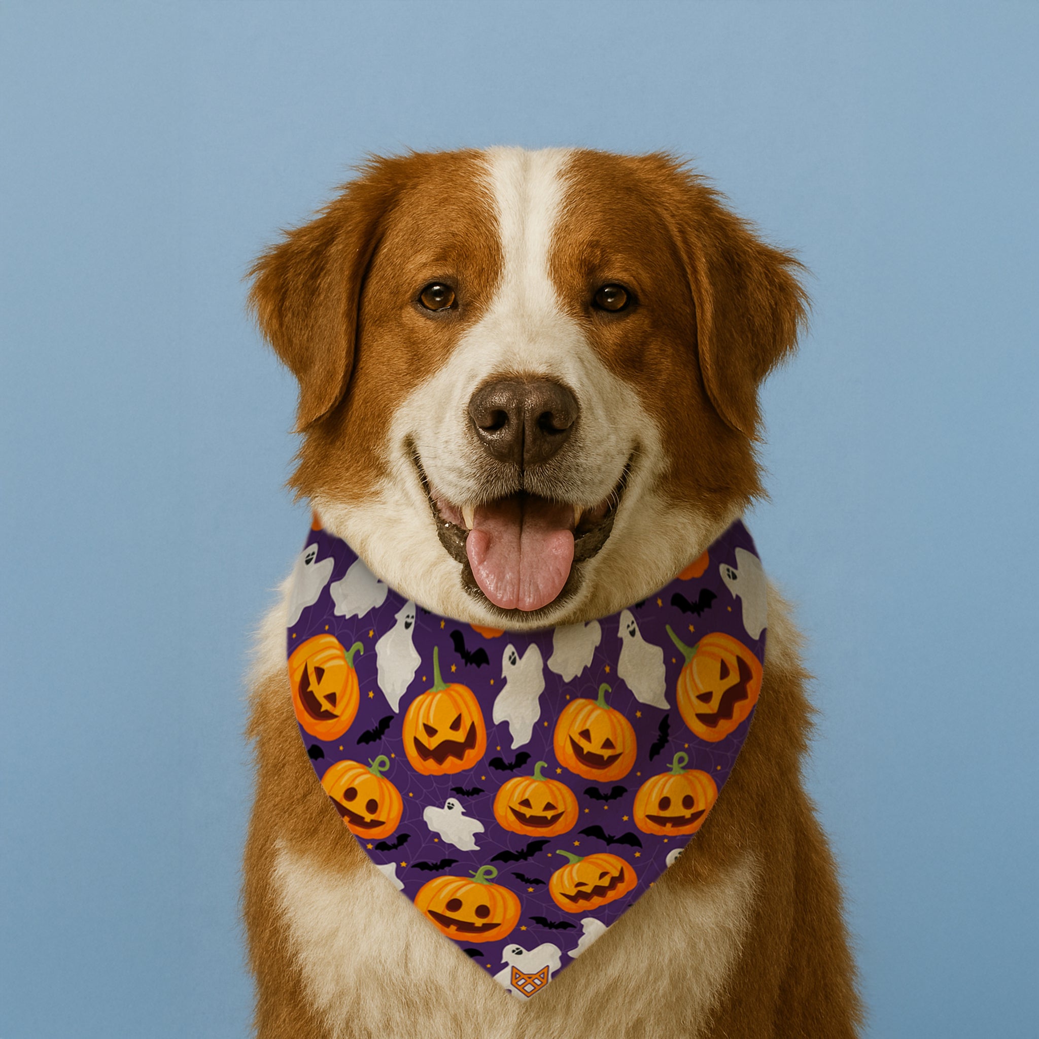 The Halloween Boo Bandana